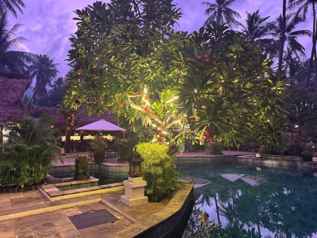 Alam Anda