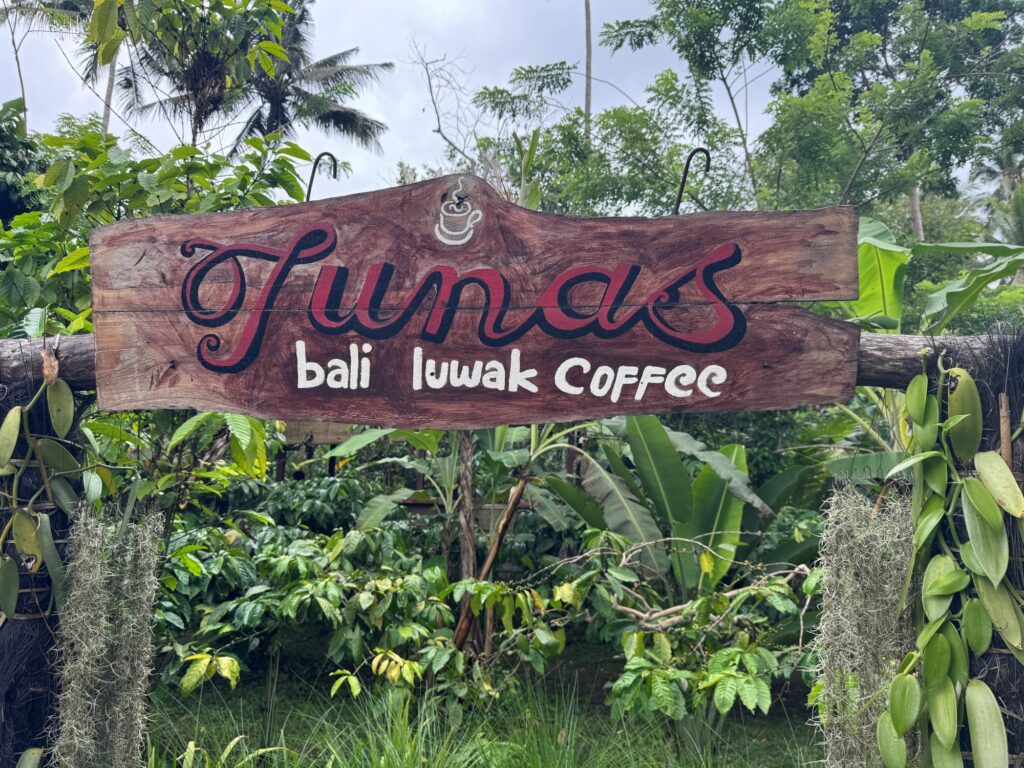 Bali luwak Coffee