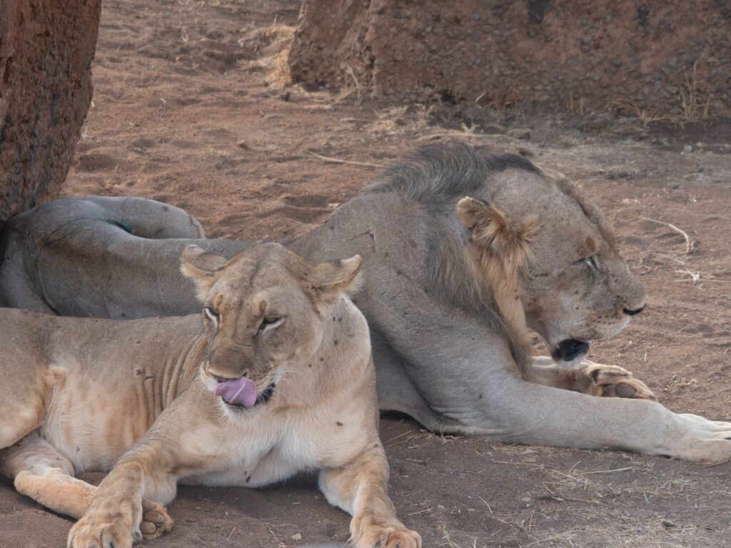 Tsavo Nationalpark