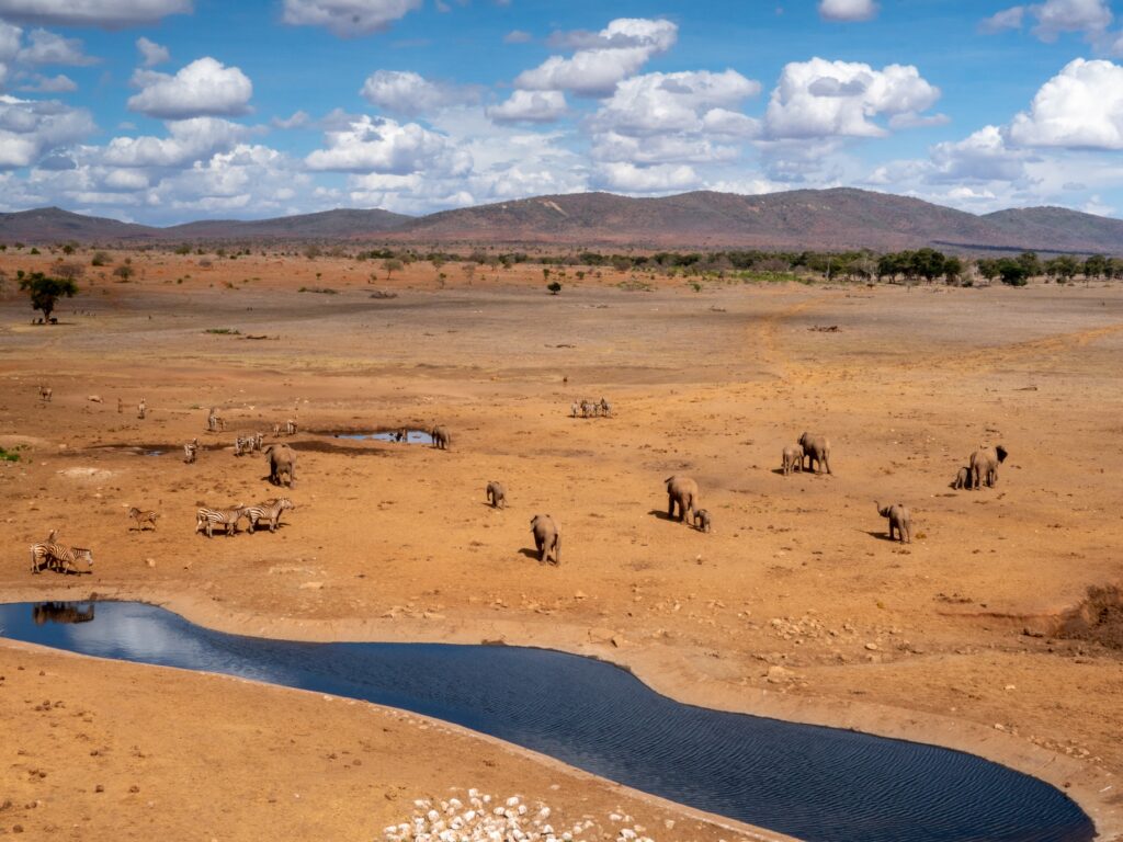 Safari in Kenia
