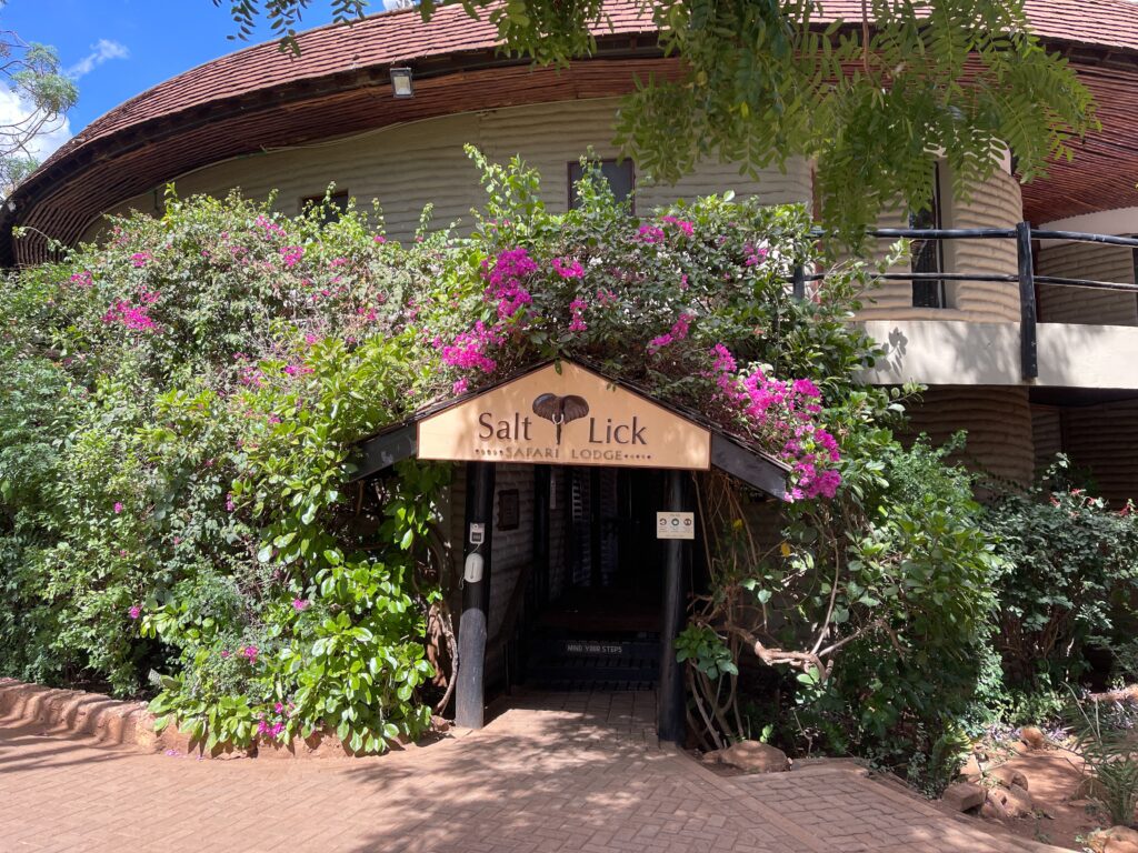 Salt Lick