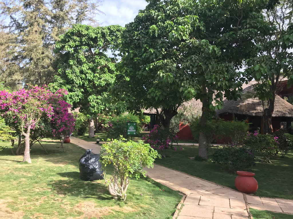 Grüner Garten der Unterkunft im Senegal