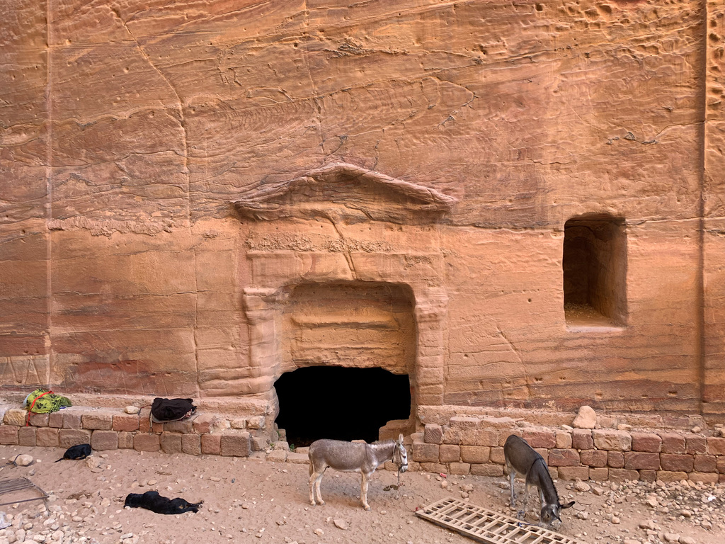 Zwei Esel vor einer in den Fels gehauenen Öffnung in Petra