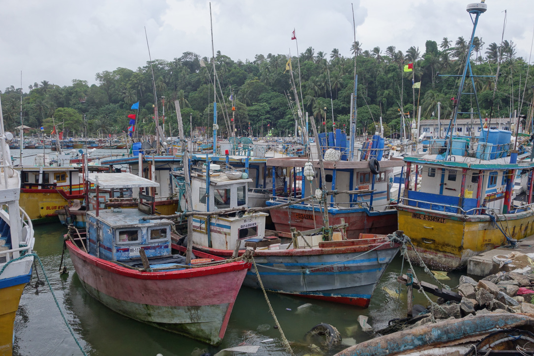 Boote dicht an dicht im Fischereihafen