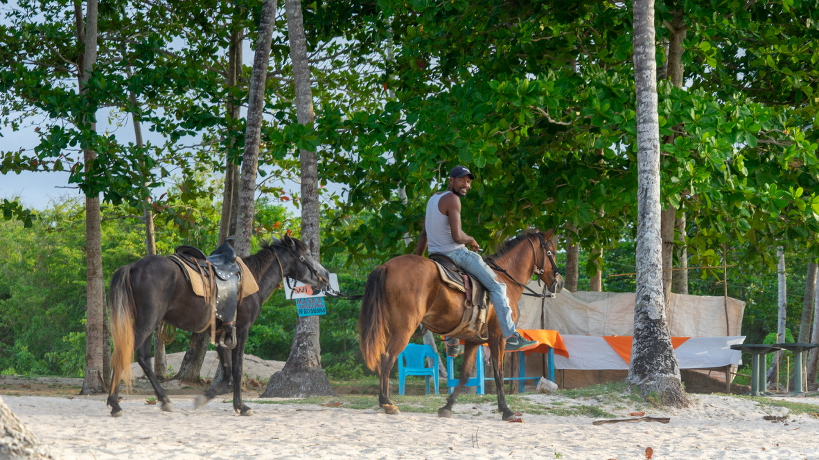 Reiter und zwei Pferde unter Palmen am Strand