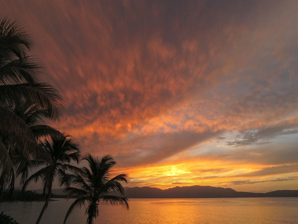 Goldener Sonnenuntergang über dem Meer mit Palmen im Vordergrund