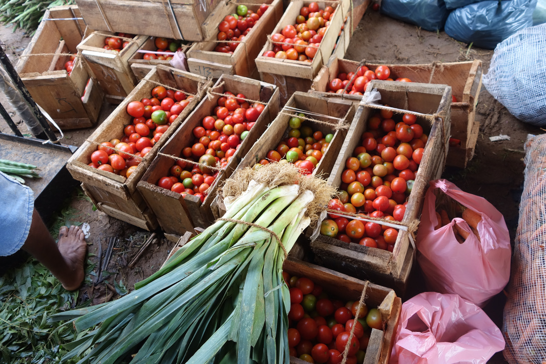 Tomaten und Lauch in Holzkisten
