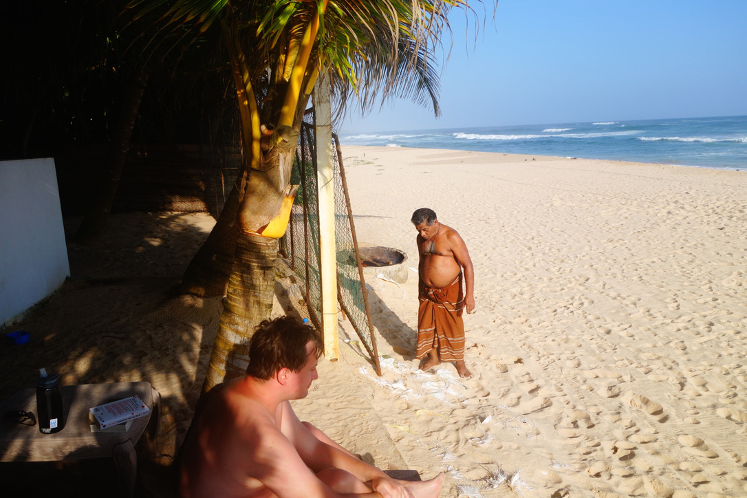 Begegnungen zwischen Palmen und Meer