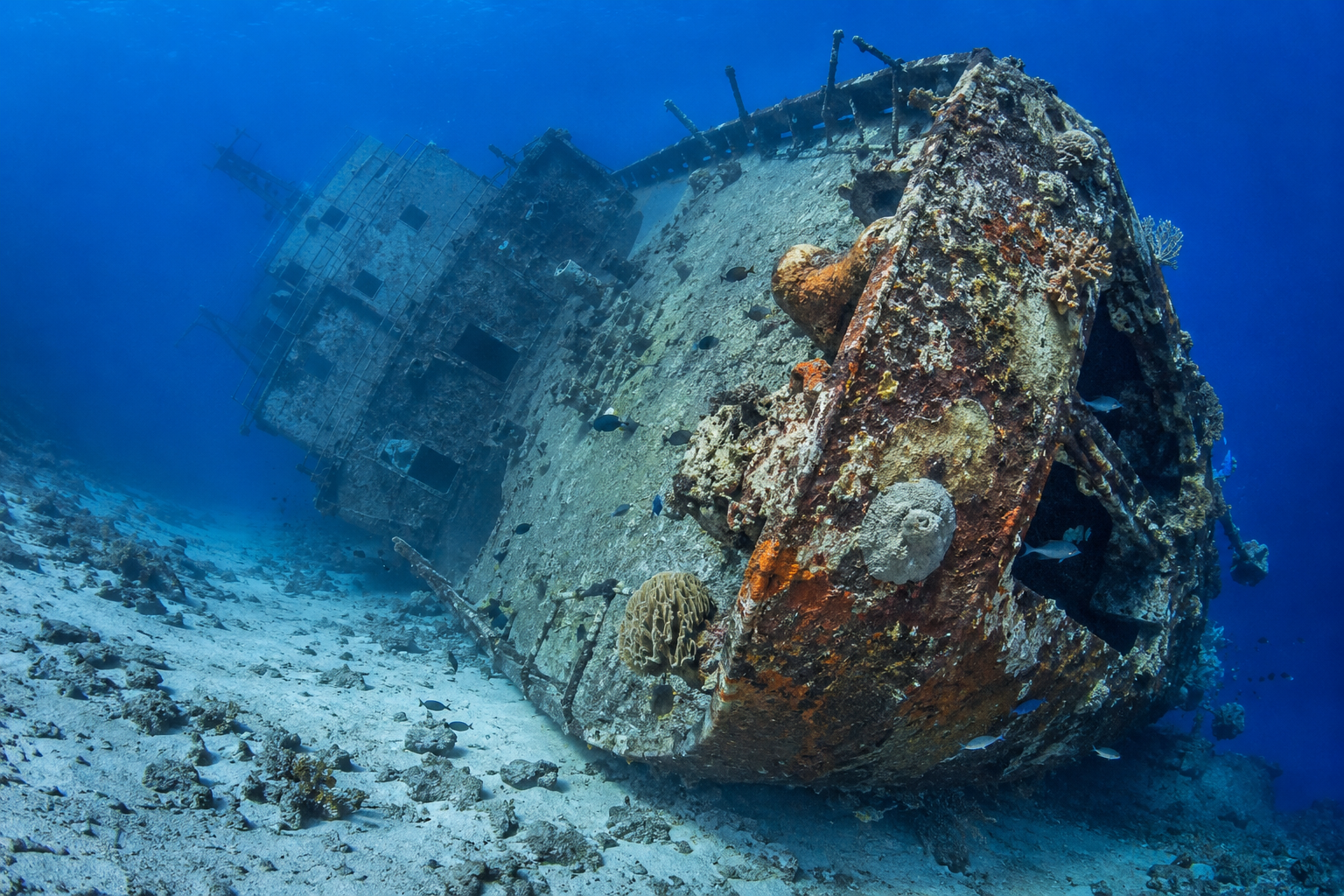 Bonaire · Wrack im blauen Wasser