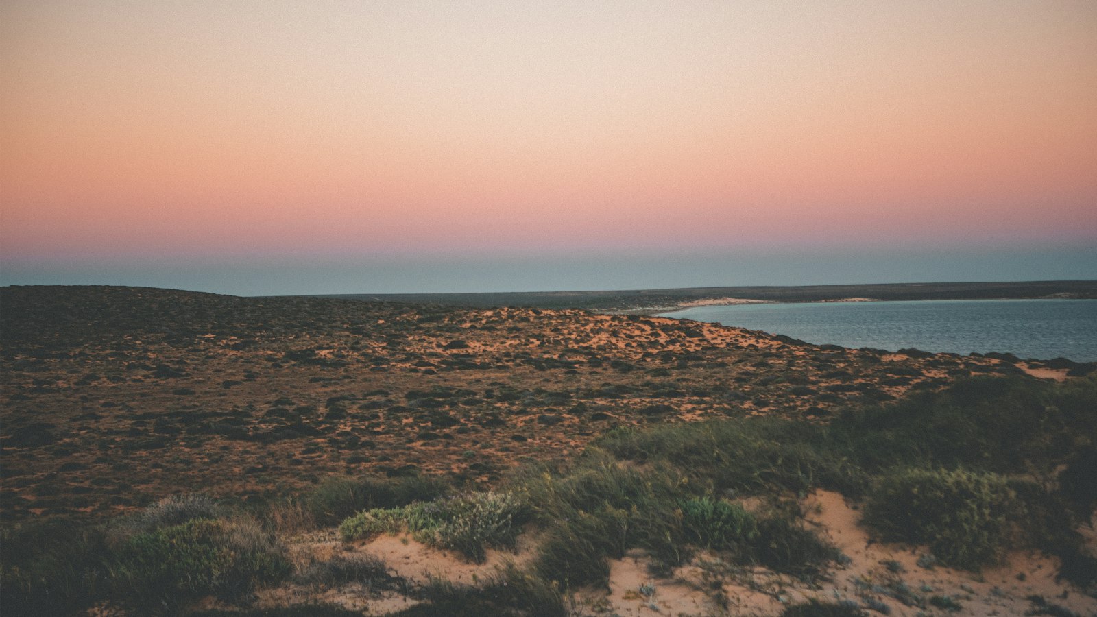 Offene Küstenlandschaft im Abendlicht