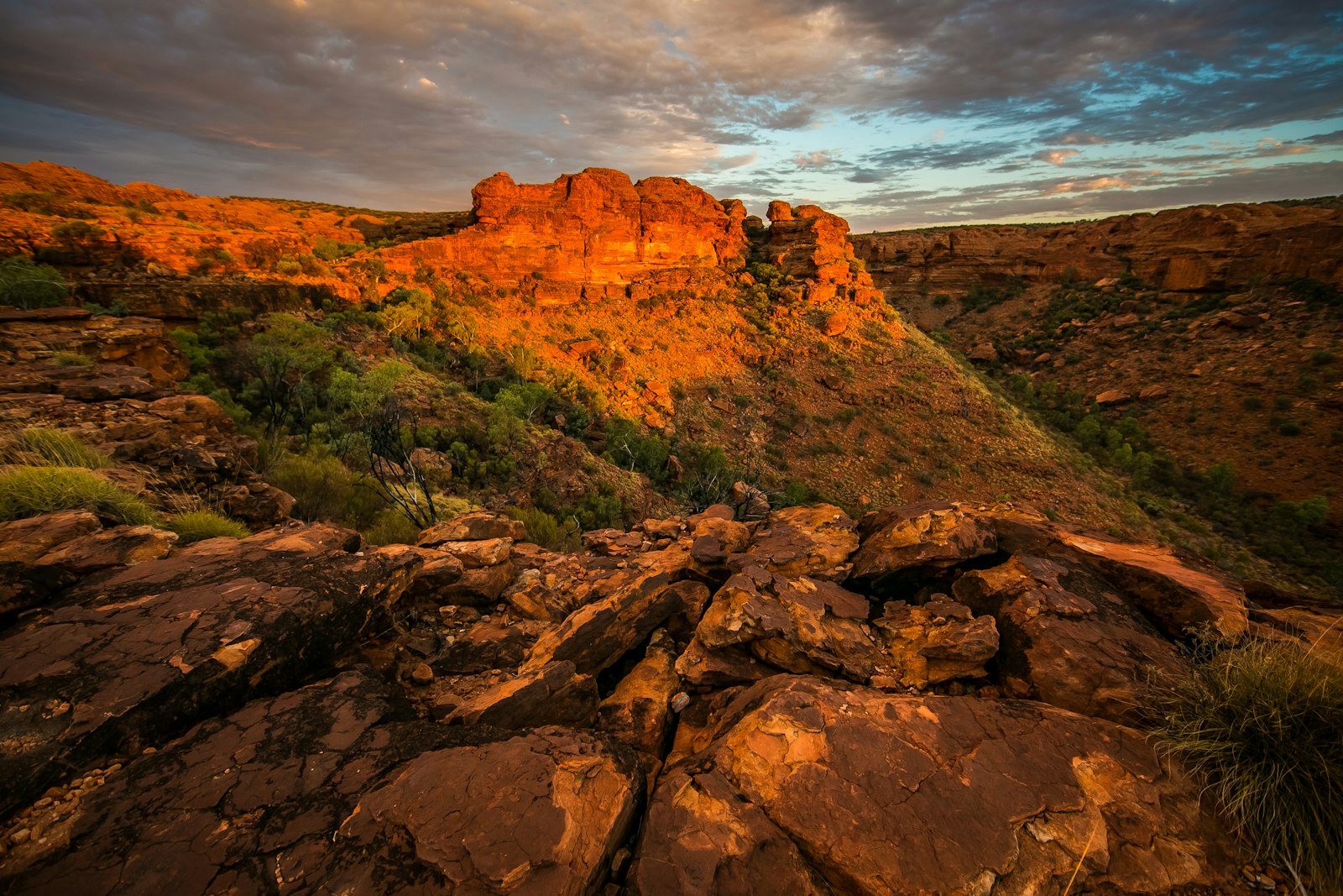 Rote Felsen im australischen Hinterland