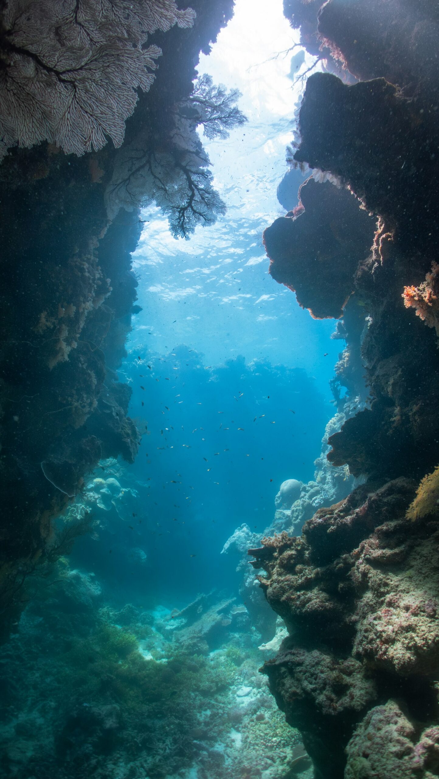 Licht zwischen den Riffwänden des Great Barrier Reef