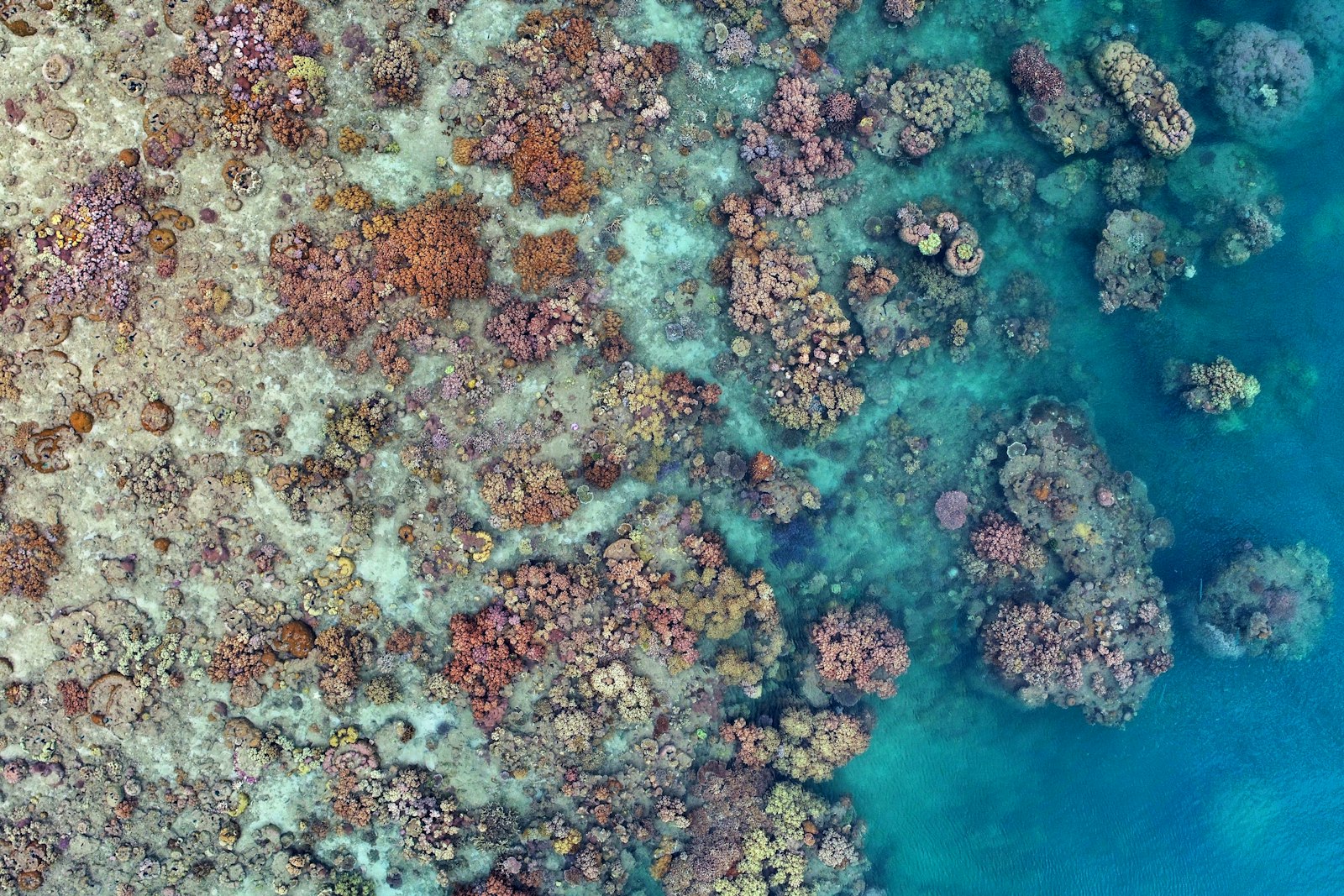 Yanooa Reef am Pelorus Island aus der Luft