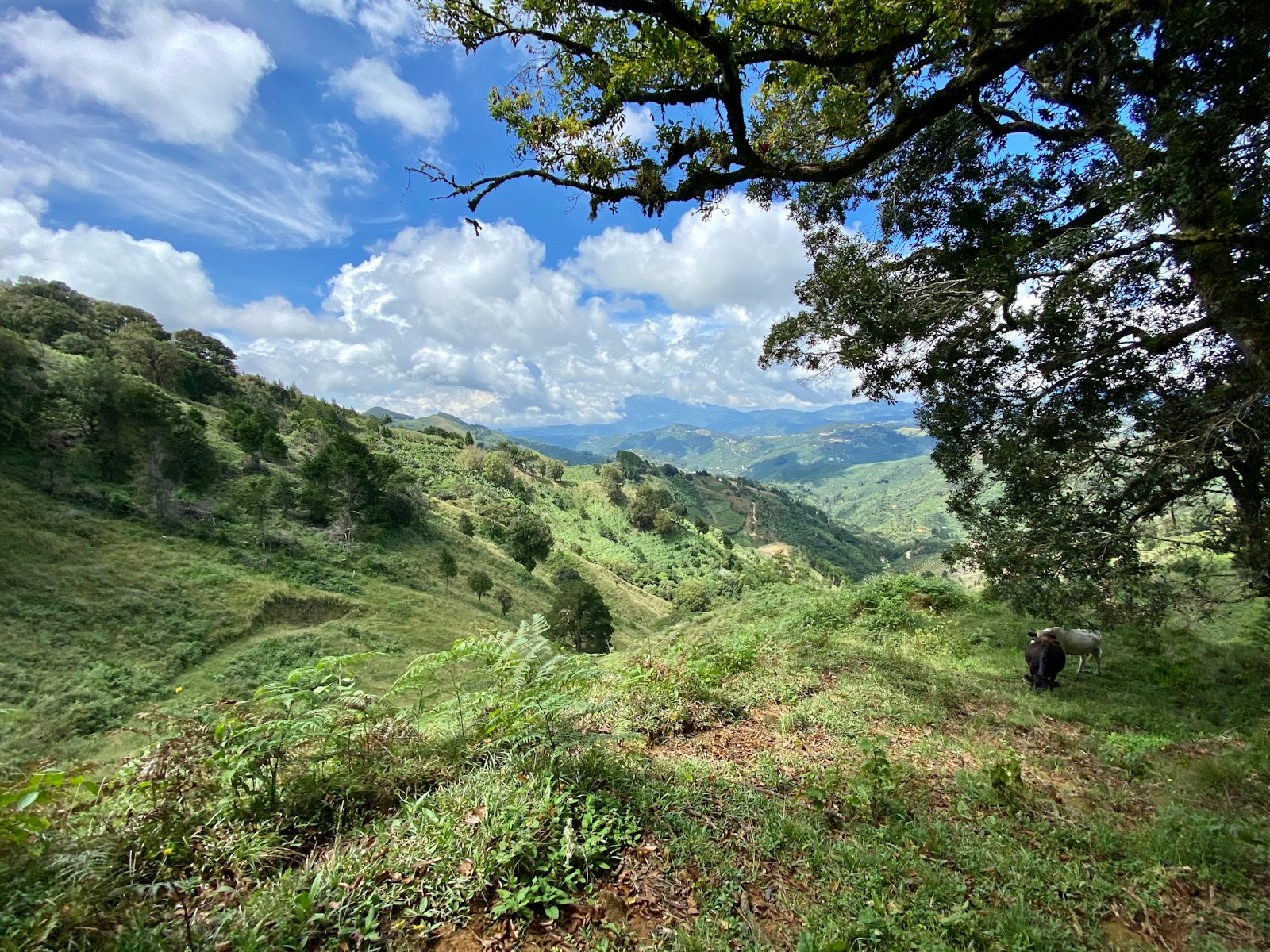 Berglandschaft in der Region Dota