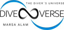 Offizielles DiveVerse-Logo