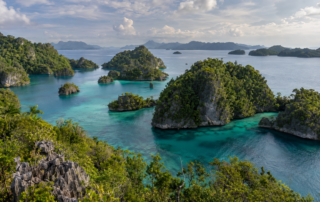 Raja Ampat: grüne Inseln zwischen türkisfarbenen Wasserstraßen.