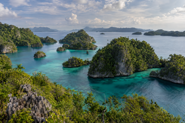 Grüne Inseln und türkisfarbenes Wasser in Raja Ampat