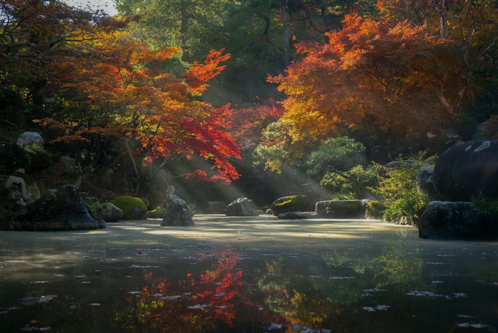 Herbstwald und Wasser in Japan