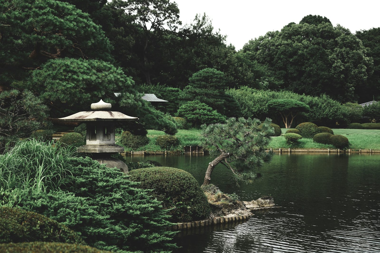 Gartenlandschaft im Shinjuku Gyoen in Tokio