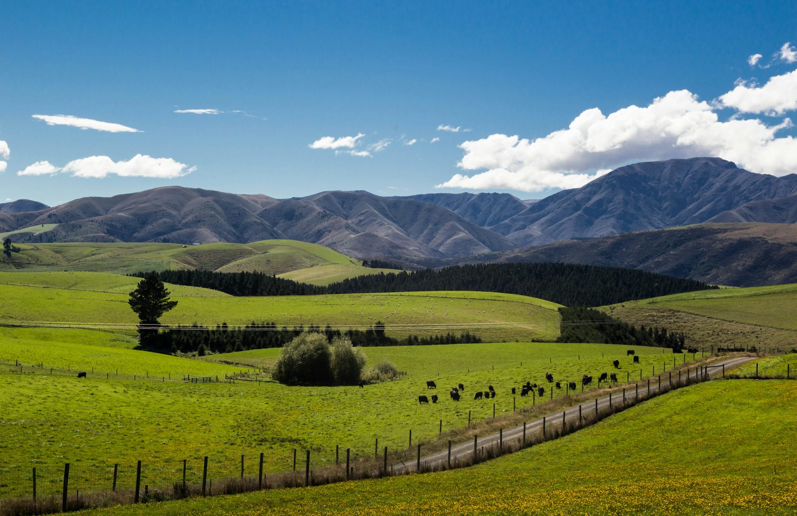 Grüne Landschaft als Inspiration für eine ruhige Reiseplanung