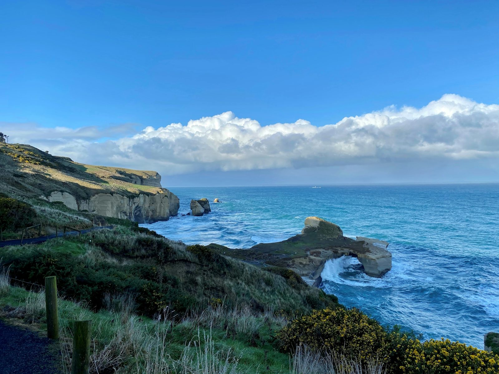 Felsenküste bei Dunedin