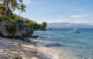 Cebu: Küstenlandschaft mit Palmen und Auslegerbooten.