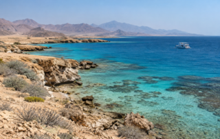 Rotes Meer · Trockene Küste und türkisfarbenes Wasser