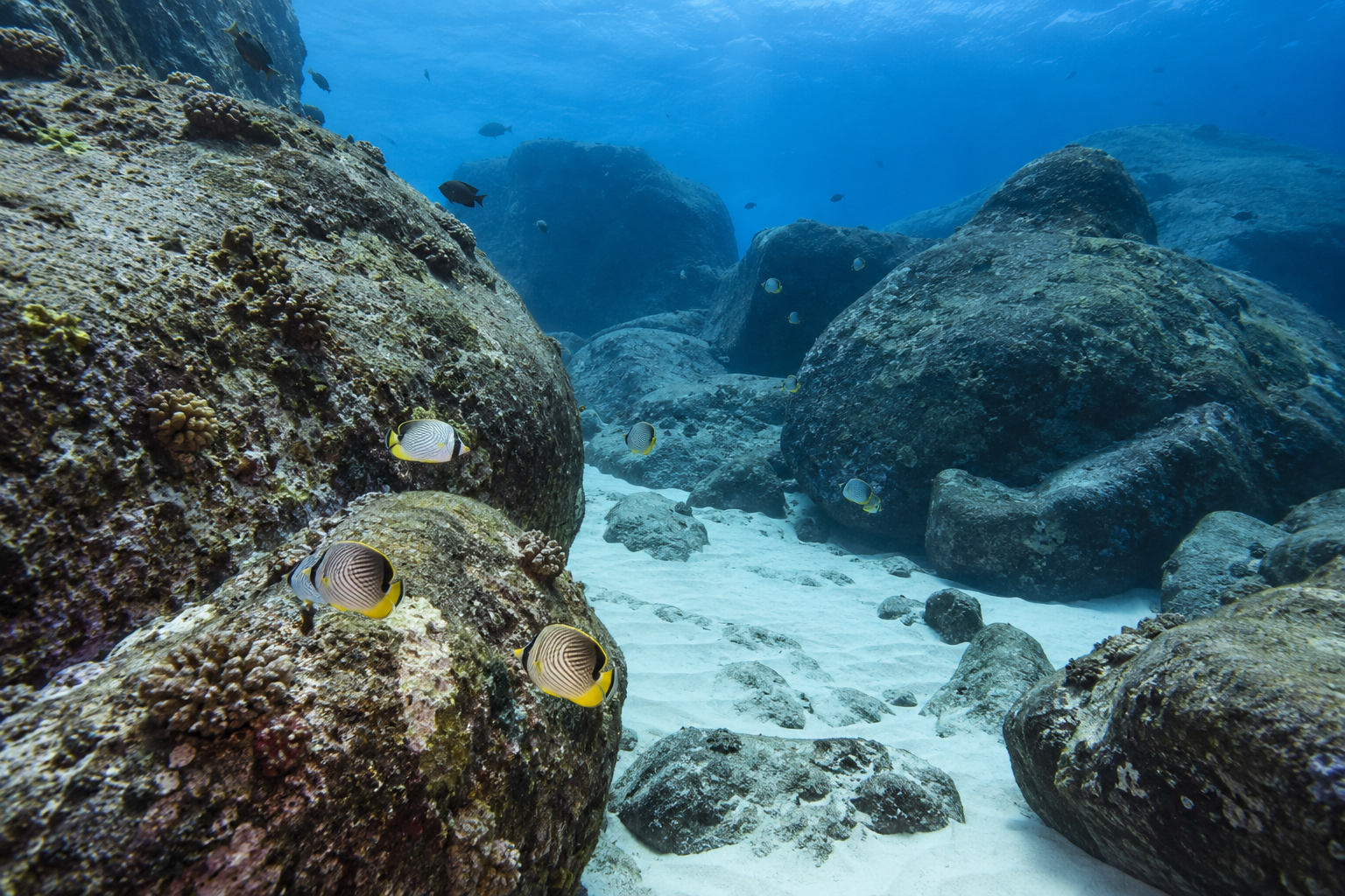Similan: Felsformationen setzen sich unter Wasser fort.