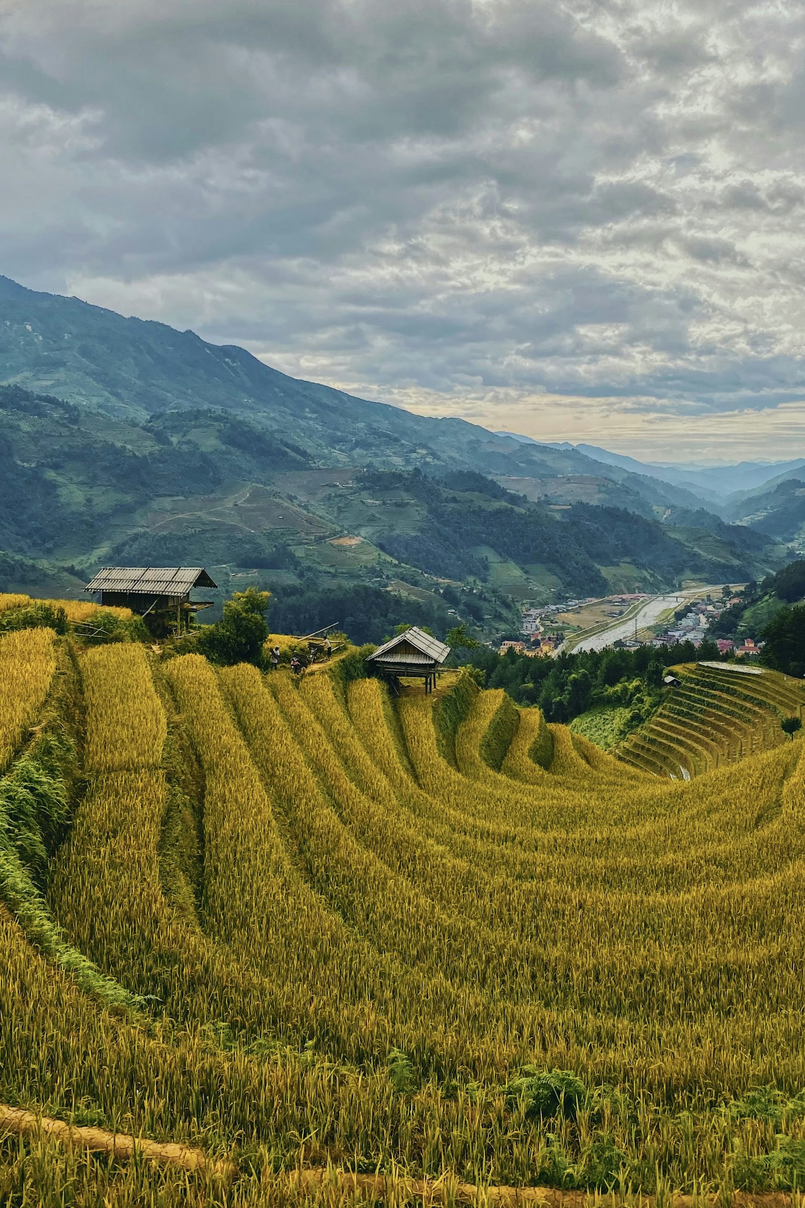 Reisfelder und Berge bei Mù Cang Chải